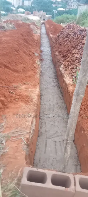 What I Do for a Living