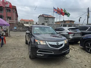 Acura MDX 2010 Gray