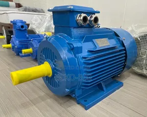 Three Phase Asynchronous Electric Motor