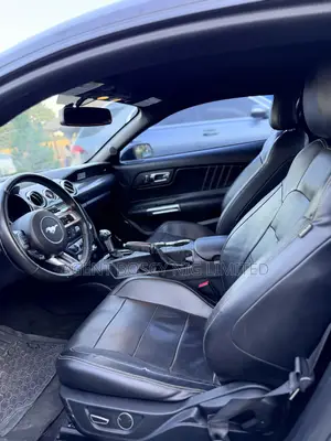 Ford Mustang EcoBoost Premium Fastback 2016 Black