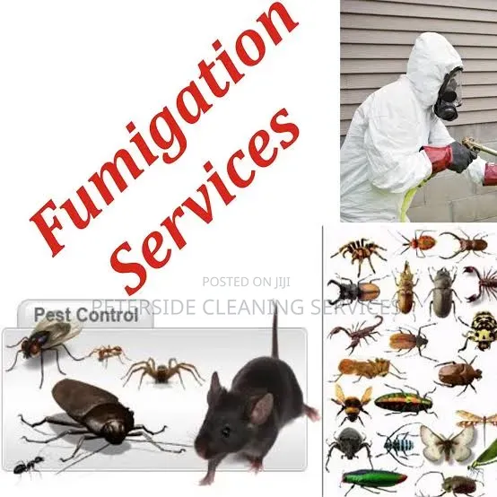 Peterside Cleaning and Fumigation Services