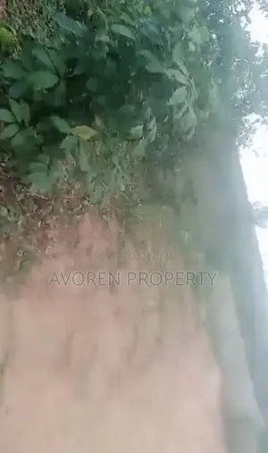 One Plot of Land at Epe