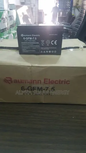 12v 7.5ah Baumann Electric Battery