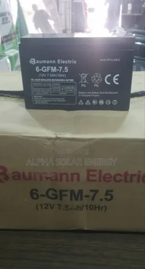 12v 7.5ah Baumann Electric Battery