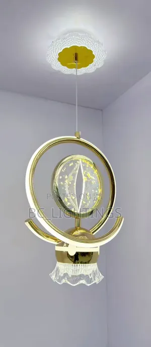 Creative LED  Light  Modern Ceiling Lights  Hanging Lamp