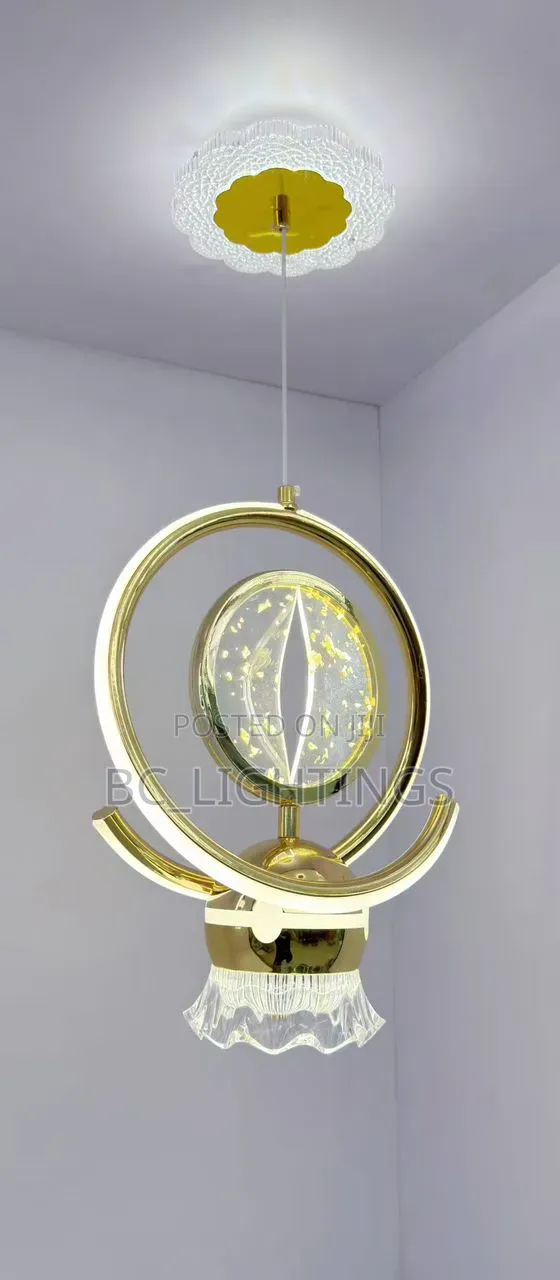 Creative LED  Light  Modern Ceiling Lights  Hanging Lamp