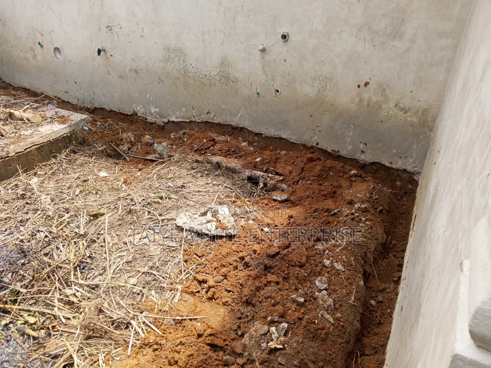 Termite Treatment