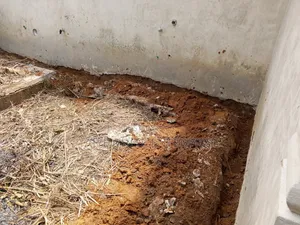 Termite Treatment