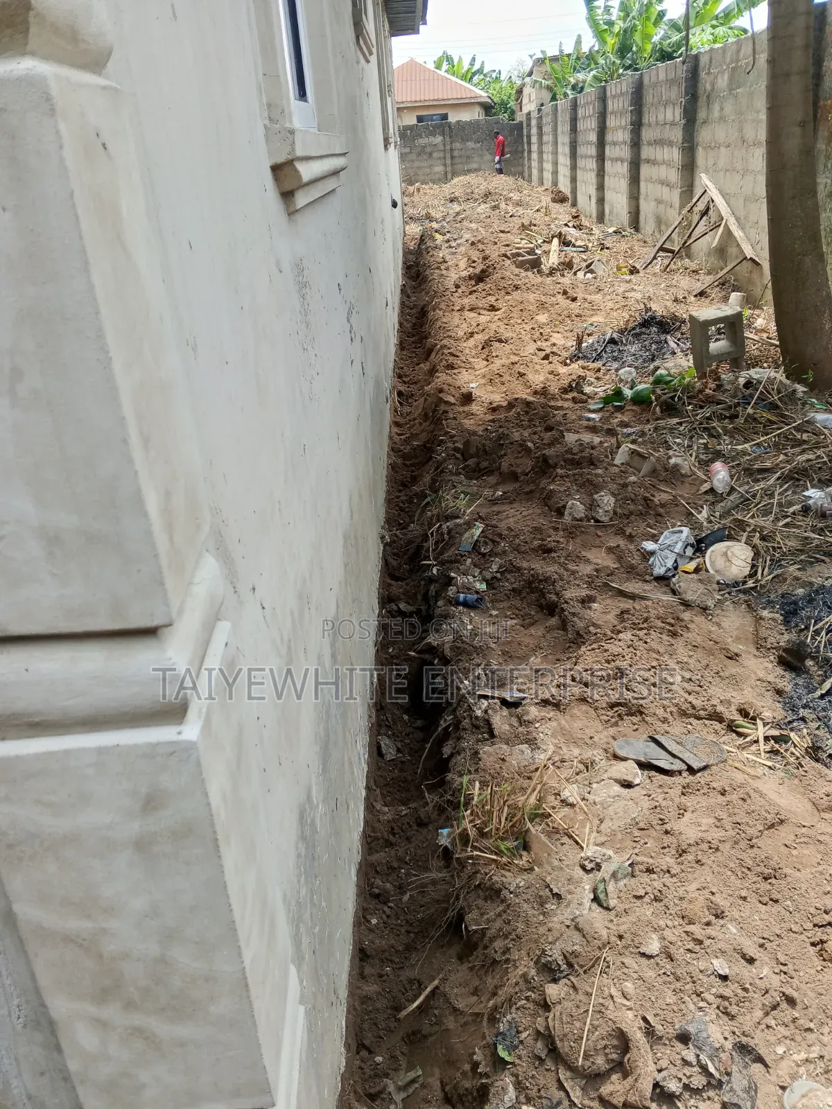 Termite Treatment