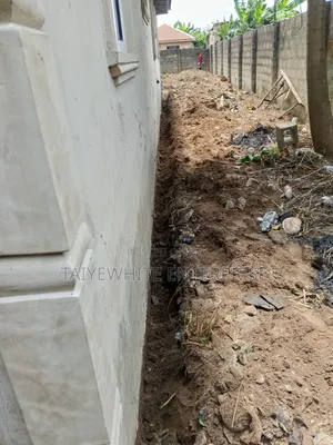 Termite Treatment
