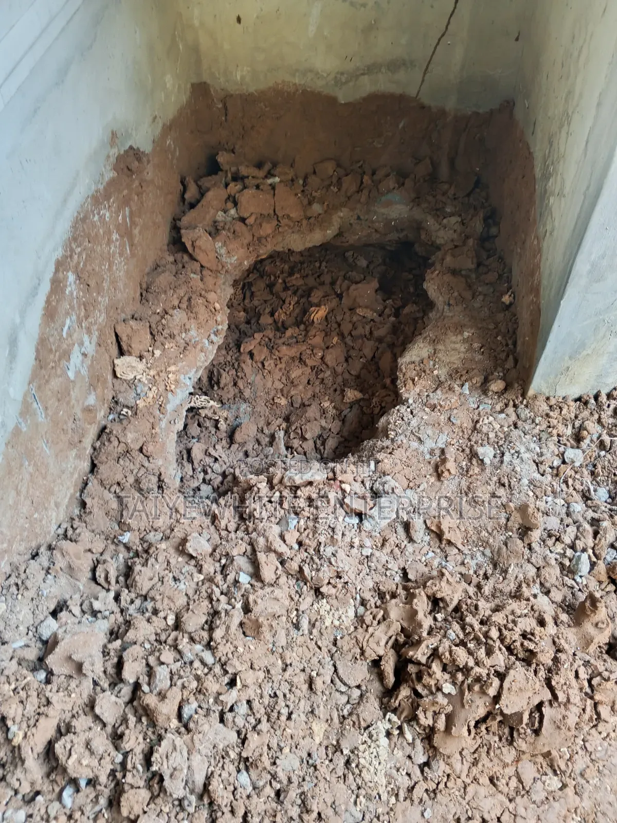 Termite Treatment