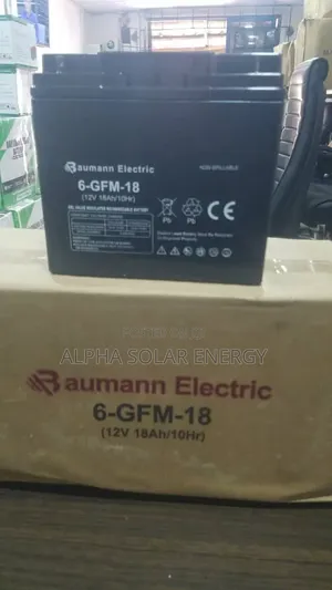 12v 18ah Baumann Electric Battery