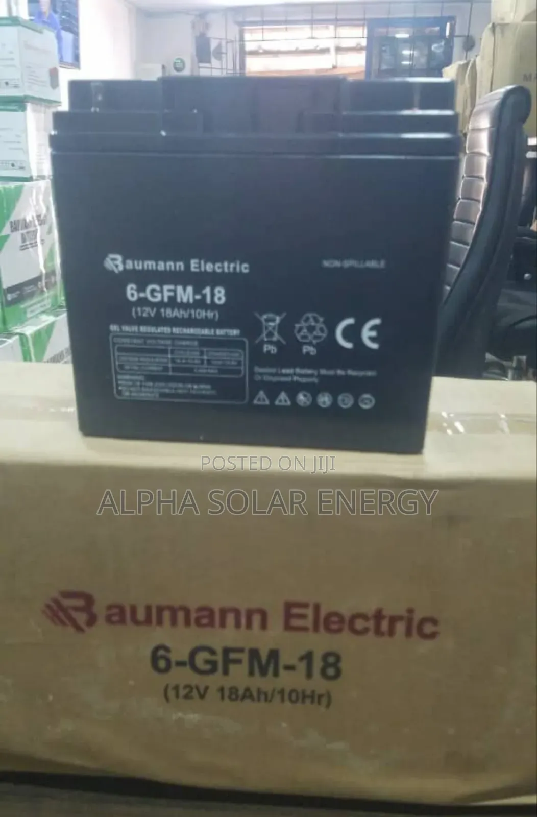 12v 18ah Baumann Electric Battery