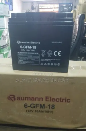 12v 18ah Baumann Electric Battery