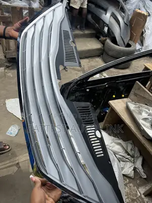 Front Grill Sienna 012