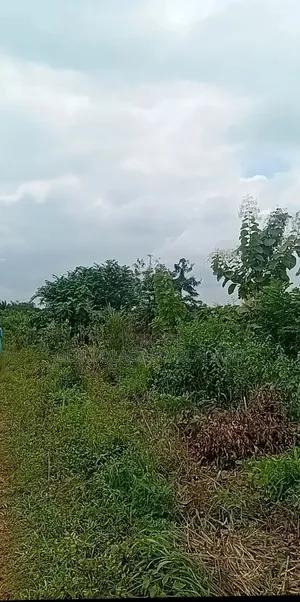 Plots of Land for Sale