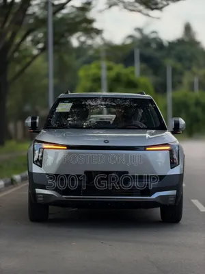 New Dongfeng Nammi Box 2025 Silver