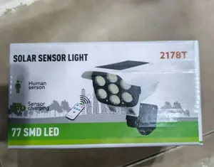 Sensor Solar Light