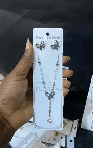 Steel Necklace and Earring
