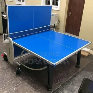 Commercial Outdoor Table Tennis 🏓