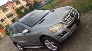 Mercedes-Benz M Class 2010 Gray