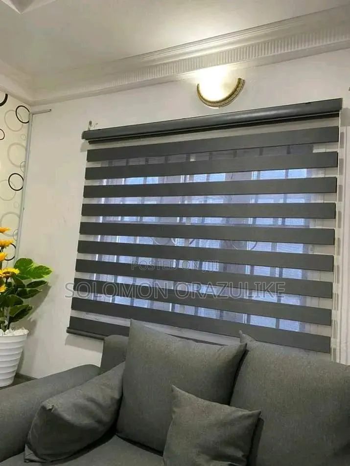 Curtain and Dayblind