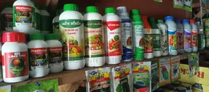 Liquid Boron, Liquid Calcium and Liquid Zinc