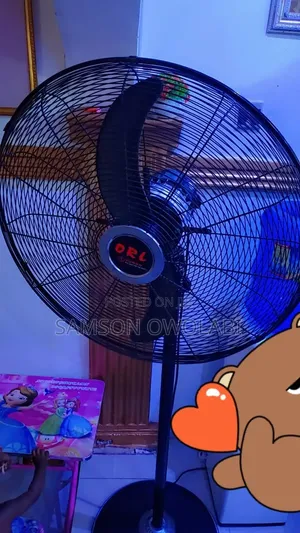 Fan Orlando