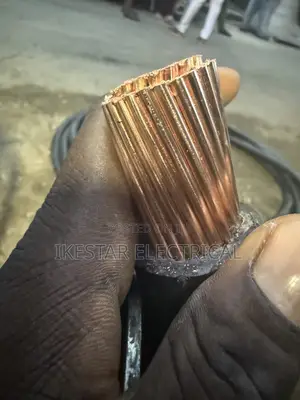 500mmx1core Armoured Cable