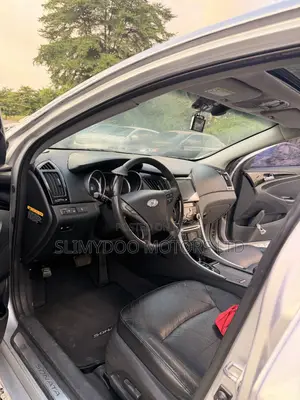 Hyundai Sonata Limited Sedan FWD (2.4L 4cyl 5A) 2010 Silver