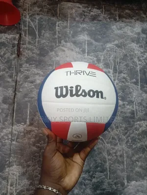 Quality Wilson Volleyball