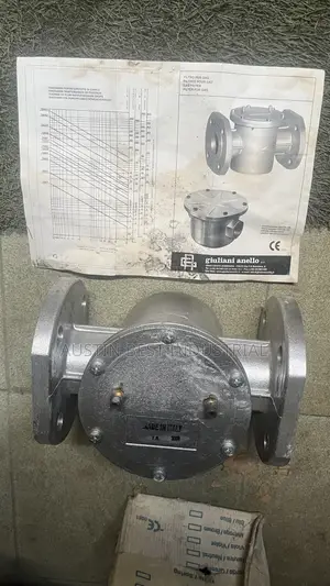 2” Flange Gas Filter