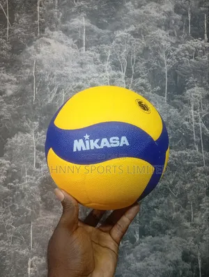 Quality MIKASA Volleyball