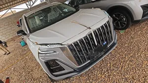 New Hongqi E-HS3 2023 Gray