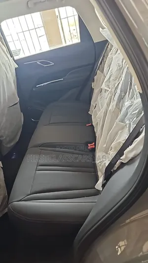 New Hongqi E-HS3 2023 Gray
