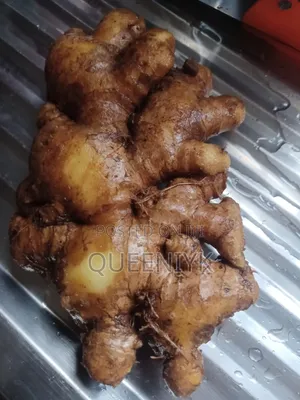 Fresh Kaduna Ginger