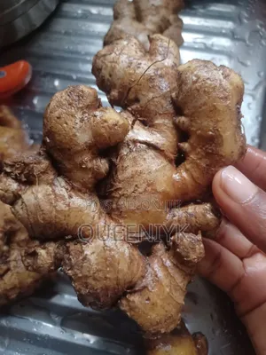 Fresh Kaduna Ginger
