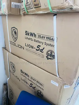 5kwh 24v Ecolion Solar Lithium Ion Battery