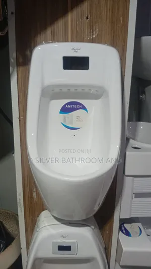Wall Urinary