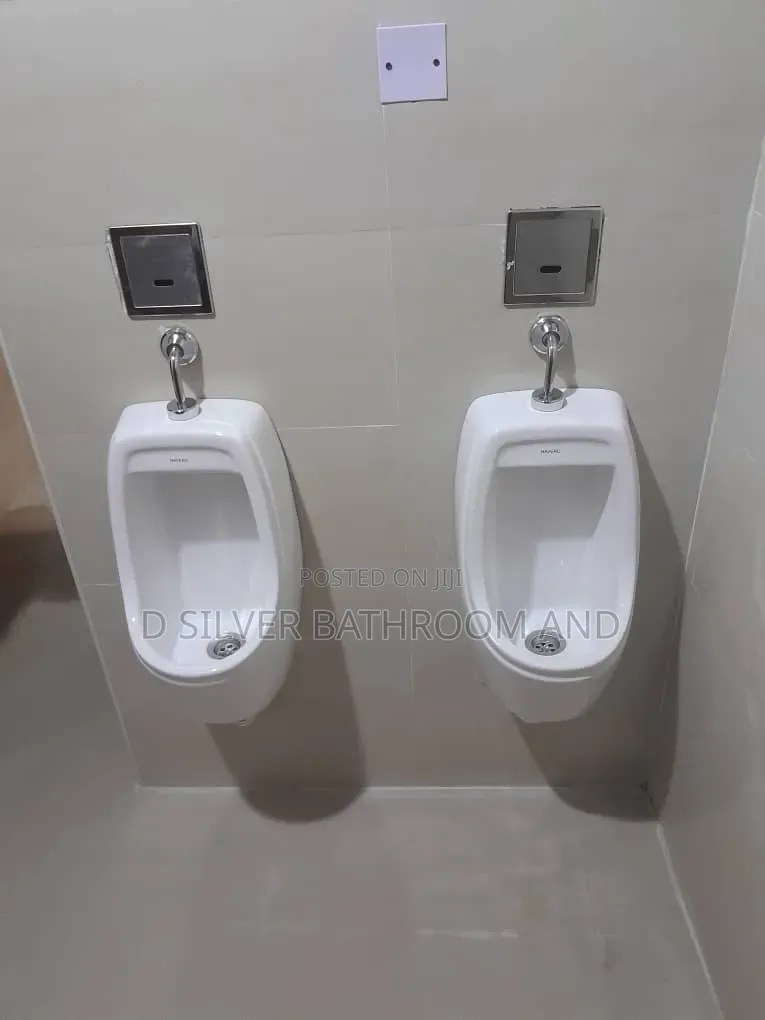 Wall Urinary