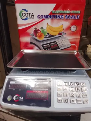30 Kg Electronic Scale