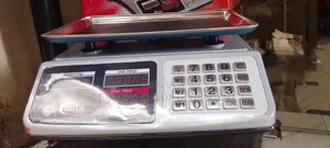 30 Kg Electronic Scale