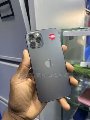 Apple iPhone 12 Pro 256 GB Black