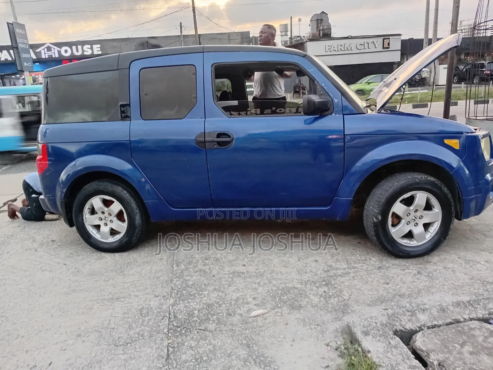 Honda Element DX Automatic 2004 Blue