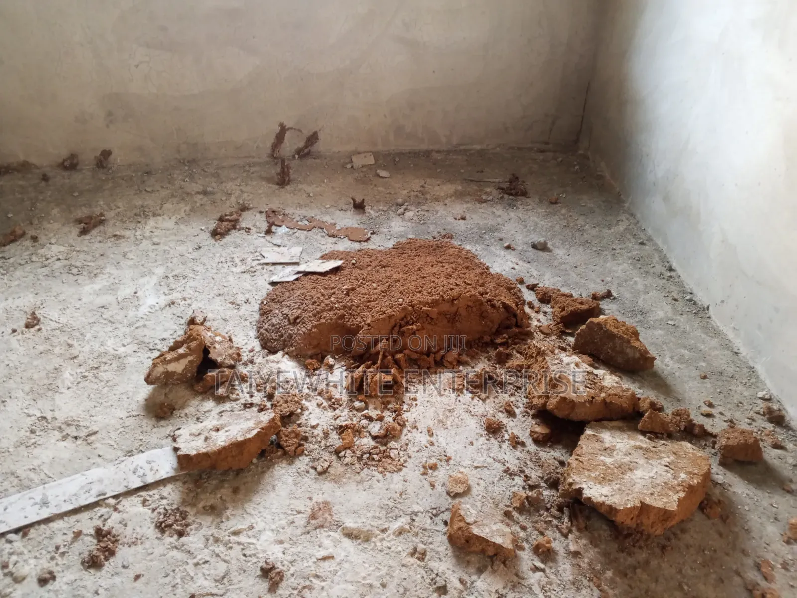 Foundation Termite Treatment