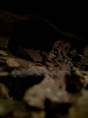 Foundation Termite Treatment