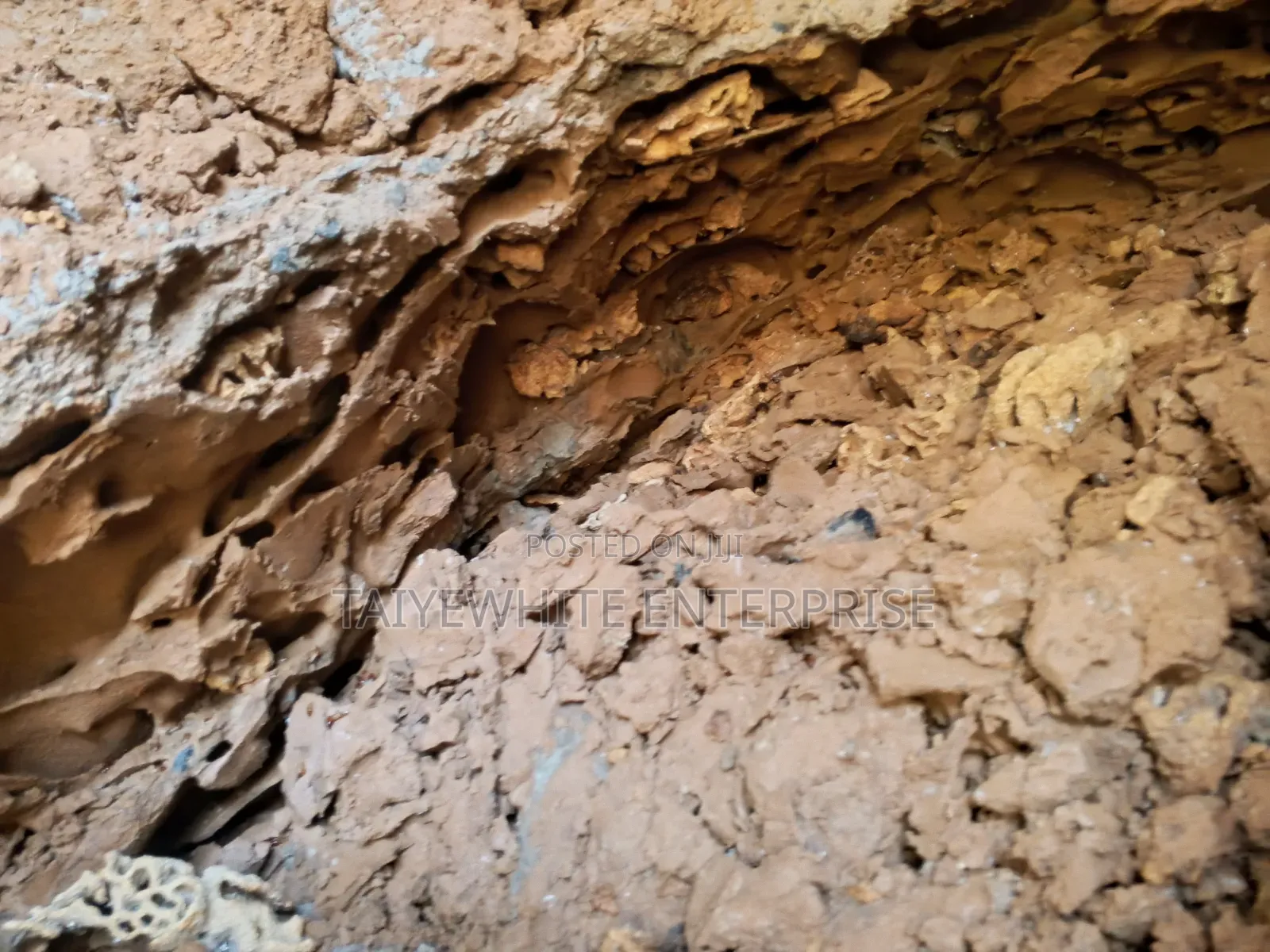 Foundation Termite Treatment