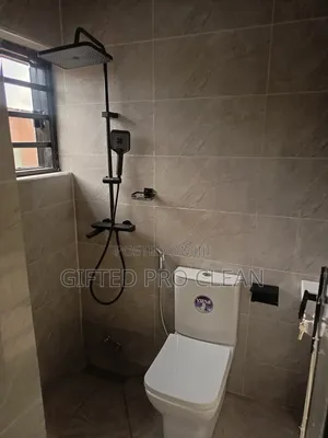 General House Cleaning