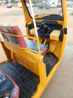 Tricycle 2024 Yellow