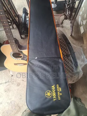 High Quality Violin